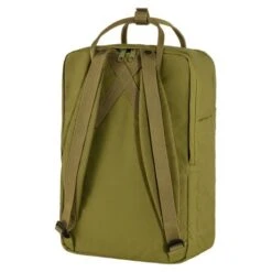 Fjallraven Fjällräven Kanken Laptop 15" Rugzak Foliage Green -Stijlvolle Tassen 15 foliagegreen 1