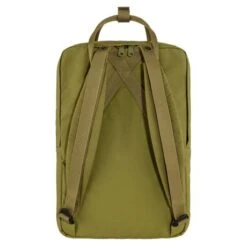 Fjallraven Fjällräven Kanken Laptop 15" Rugzak Foliage Green -Stijlvolle Tassen 15 foliagegreen 3