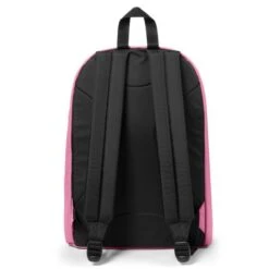 Eastpak Out Of Office Rugzak Cloud Pink -Stijlvolle Tassen ek000767 4d3 alt003 uc231082 mhigh
