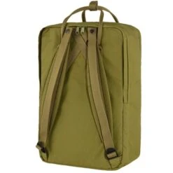 Fjallraven Fjällräven Kanken Laptop 17" Rugzak Foliage Green -Stijlvolle Tassen foliagegreen17 kanken 1