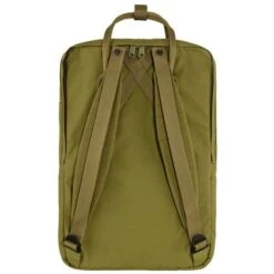 Fjallraven Fjällräven Kanken Laptop 17" Rugzak Foliage Green -Stijlvolle Tassen foliagegreen17 kanken 3